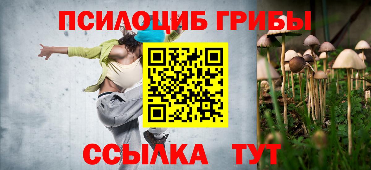 Псилоцибиновые грибы Psilocybine cubensis  Псилоцибиновые грибы прущие грибы  Вход с VPN  Карталы 